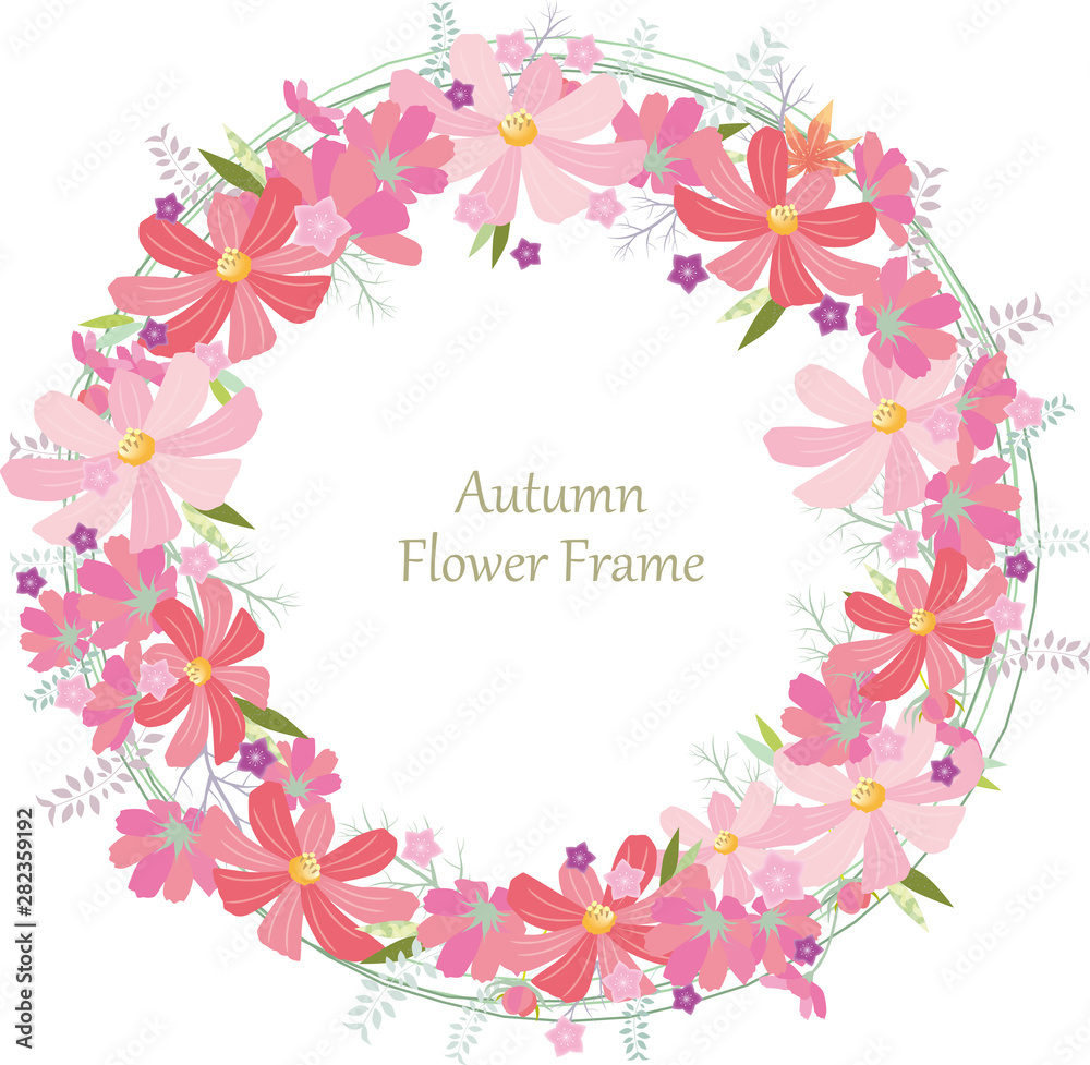 コスモス　フレーム　囲み枠　枠　背景　水彩　秋　花　背景　背景素材　満開　9月　10月　11月　ピンク　日本　