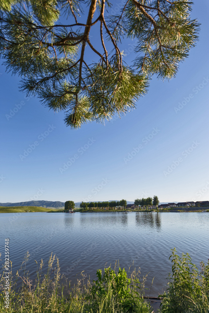 Obraz premium lake in forest