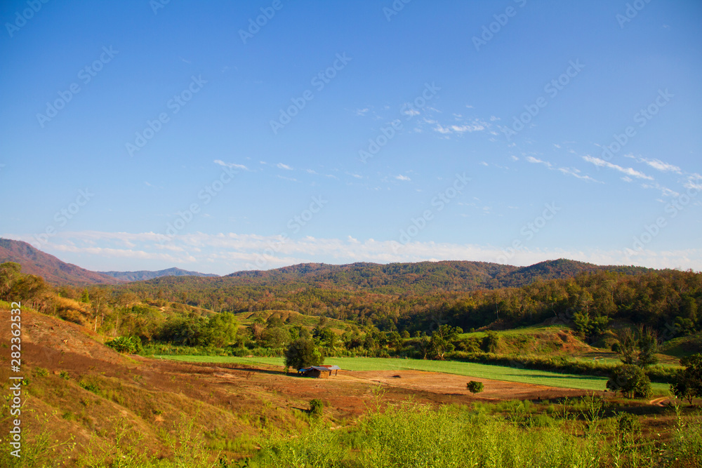 Fototapeta premium Mountains and forest views with a bright blue sky, feel free freedom and get adventure time.