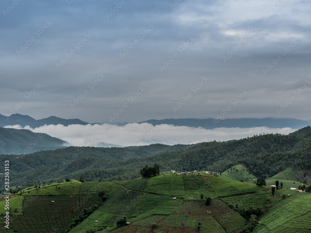 Obraz premium View of rice terraces at Thailand.