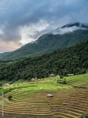 View of rice terraces at Thailand.