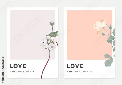 Minimalist botanical valentine greeting card template design, Woolly rock jasmine on light purple and rose on light red