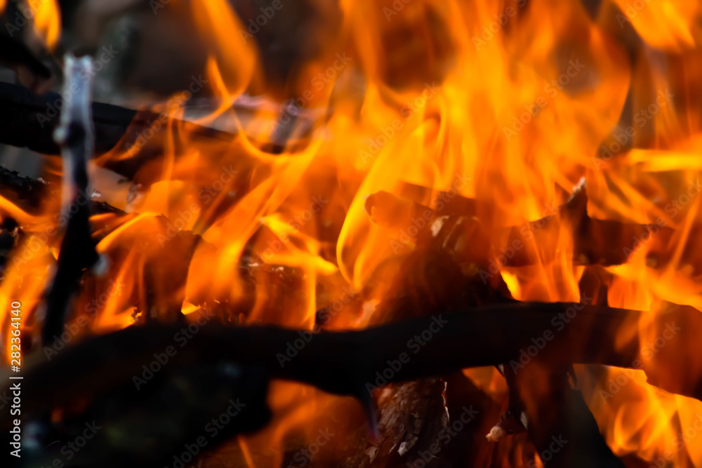 Bright bonfire Bright bonfire