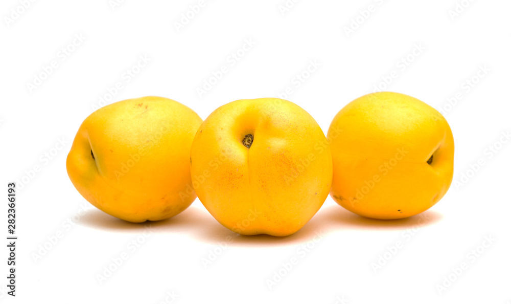 Juicy yellow nectarines on a white background Juicy yellow nectarines on a white background