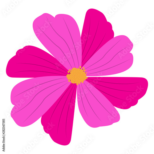 Isolated flower over a white background - Vector