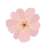 Isolated flower over a white background - Vector