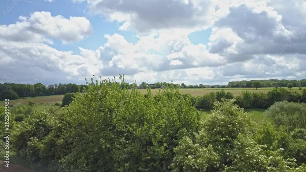 Horizontal travelling of fields and trees from a drone perspective Horizontal travelling of fields and trees from a drone perspective
