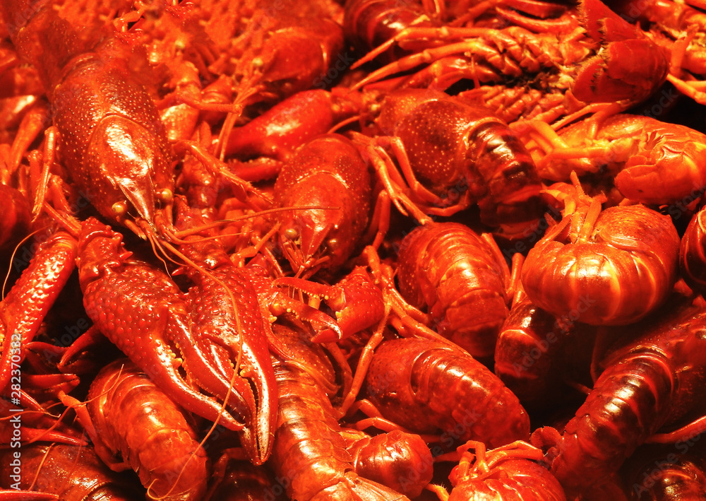 Red boiled crayfish. Good background. Food. Red boiled crayfish. Good background. Food.