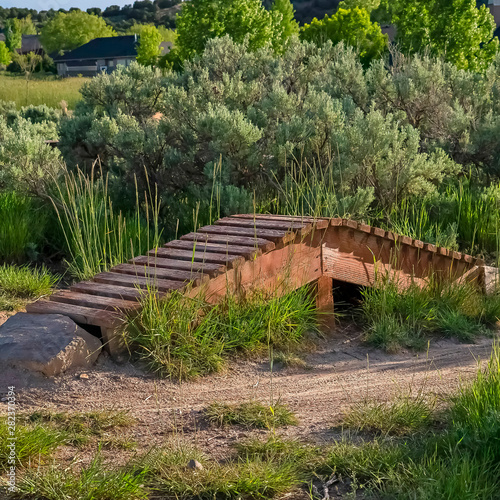 Square frame Raised bicycle track surrounded by greenery on a hill viewed on a sunny day