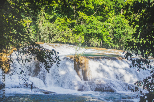 Fototapeta Naklejka Na Ścianę i Meble -  Waterfalls of Cascadas de Agua Azul Chiapas Mexico