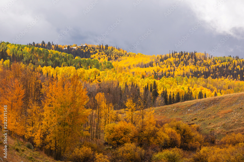 Fototapeta premium Autumn in Colorado