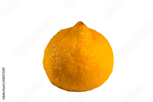 half a lemon photo