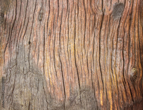 Texture old wood skin natural vertical seamless cracked patterns on dark brown background
