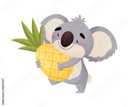Cartoon humanized koala with pineapple. Vector illustration on white background.