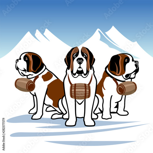 St. Bernards, Alpine rescue dogs