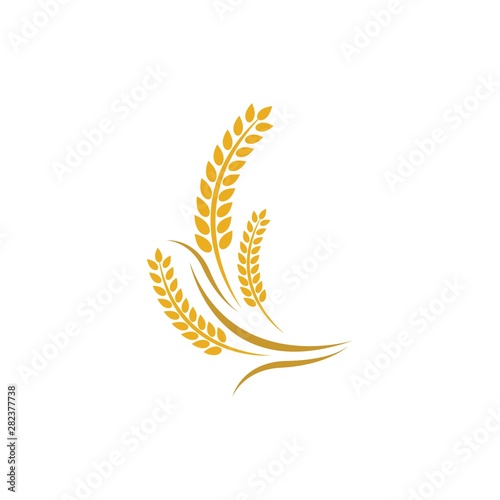 Wheat vector icon illustration design