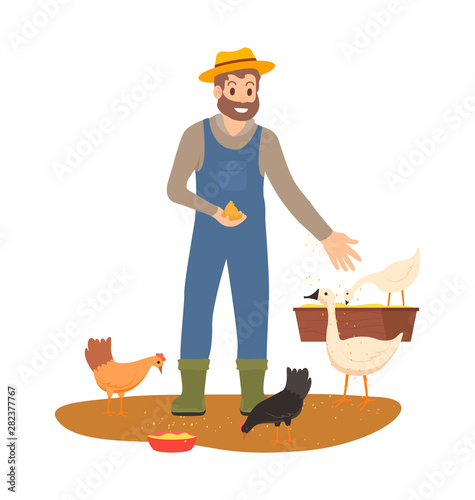 Farming man on farm vector, person caring for domestic animals feeding chickens and hens, poultry tending and breeding, geese and chicks isolated