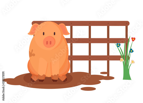 Piggy sitting in mud near wooden fence and flowers, pig farm animal, portrait view of countryside piglet, dirty swine near blossom, agricultural vector