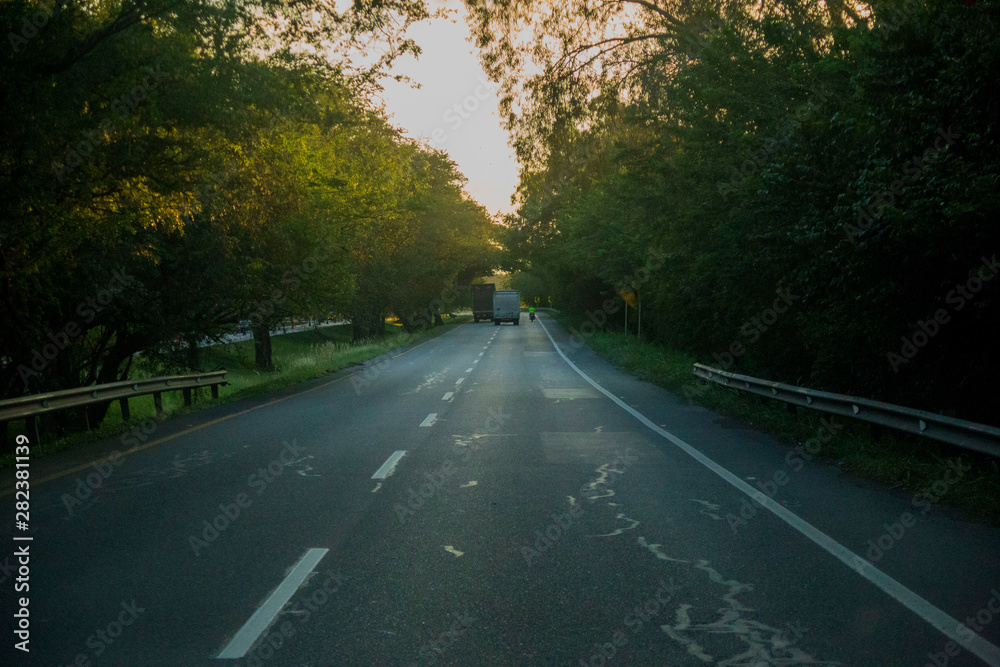 Obraz premium road in the forest