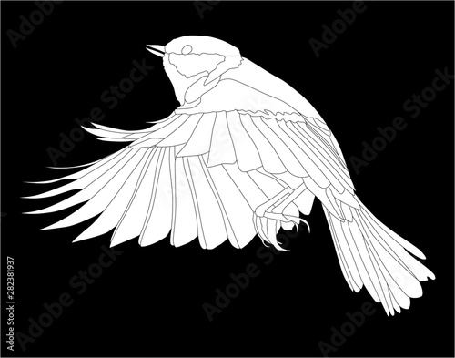 illustration with white great tit in flight silhouette