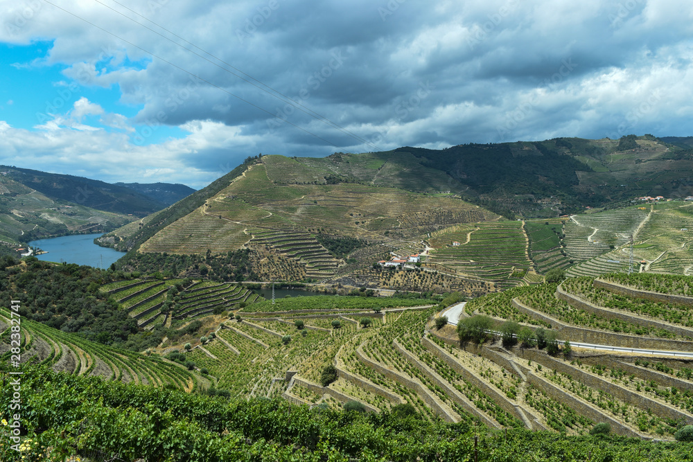 River valley with high hills planted with vineyards.