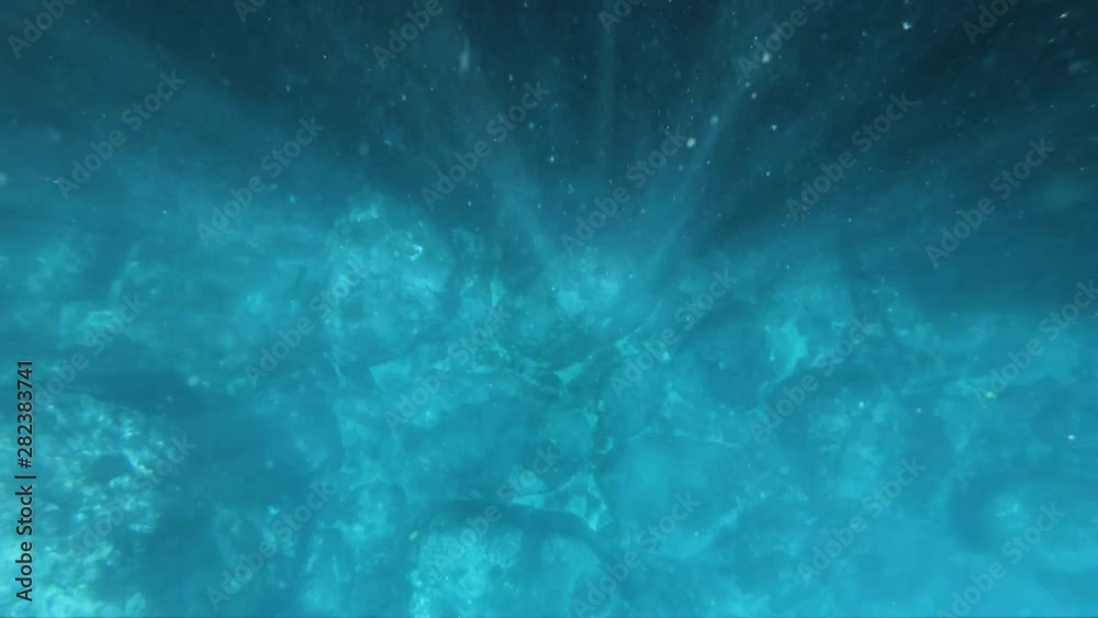 beams of light in slow motion off south point hawaii. facing vertically down in the sun beams of light in slow motion off south point hawaii. facing vertically down in the sun