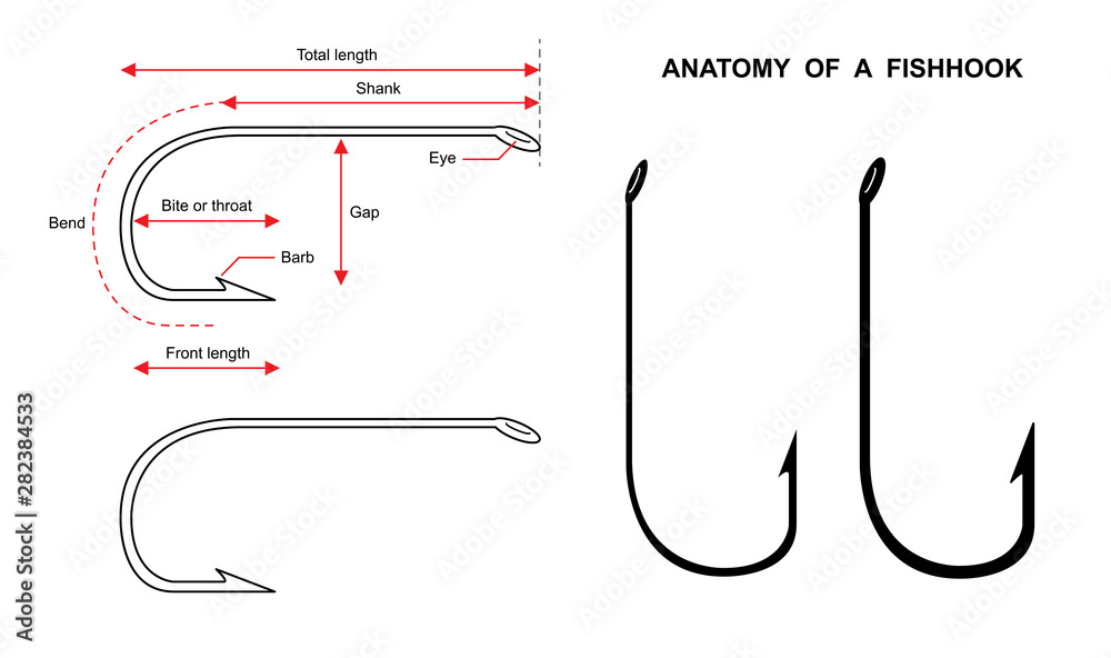 Anatomy of a fish hook Fish hook isolated on white background vector ...