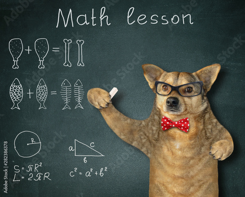 The dog teacher in a red bow tie and glasses gives math lesson near the  blackboard in the classroom. Stock Photo | Adobe Stock