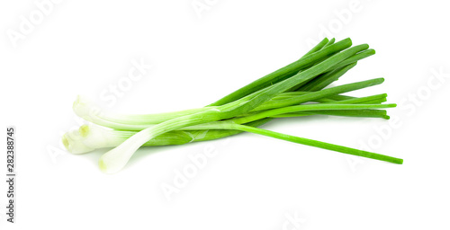 Green onion isolated on the white background