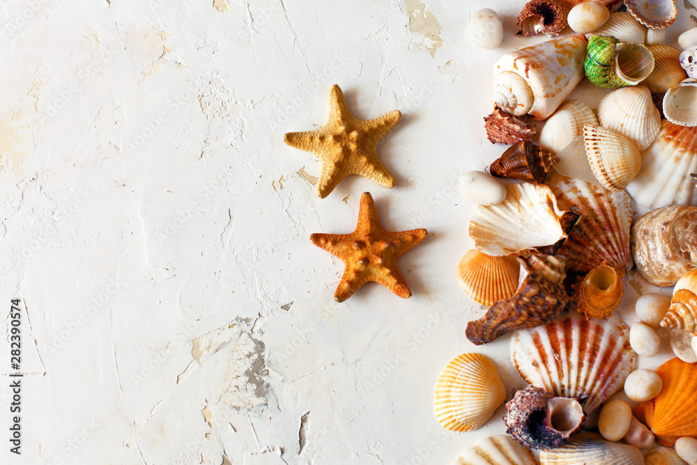 A mound of colorful seashells, sea glasses and starfishes on a white textured background with plaster. Creative vacation background, copy space, top view, close up A mound of colorful seashells, sea glasses and starfishes on a white textured background with plaster. Creative vacation background, copy space, top view, close up