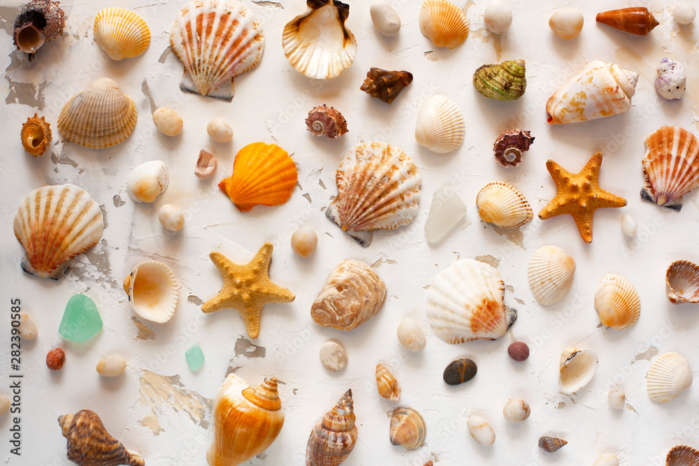 Exotic still life of colorful seashells, sea pebbles and starfish on a light textural background. Marine or oceanic exotic pattern Exotic still life of colorful seashells, sea pebbles and starfish on a light textural background. Marine or oceanic exotic pattern