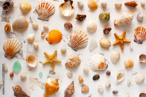 Exotic still life of colorful seashells, sea pebbles and starfish on a light textural background. Marine or oceanic exotic pattern