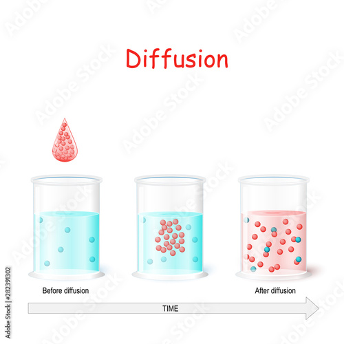 Diffusion process. Laboratory flasks with water before and after diffusion.