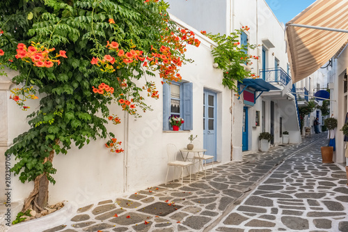 Typical narrow street in old town of Parikia, Paros island, Cyclades, Greece
