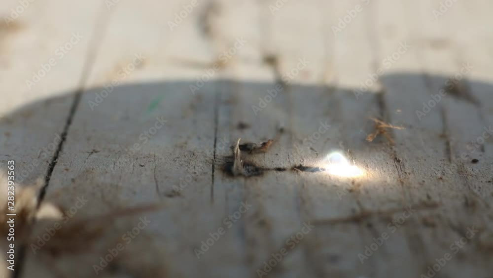 Closeup Of Burning Wood With Magnifying Glass. Closeup Of Burning Wood With Magnifying Glass.