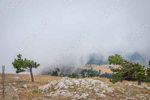 Ai-petri mountain in the fog. High mountain. Crimea. Russian mountains. Low clouds. Beautiful mountain landscape. The famous AI Petri mountain, partially covered with clouds, fog