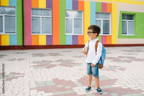 Cute schoolboy in white shirts and a glasses with books and a backpack. Back to school