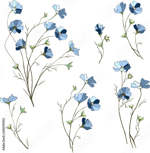 A set of small blue flowers on a white background, bouquets of daisies, flower branches. Hand drawn spring flowers.