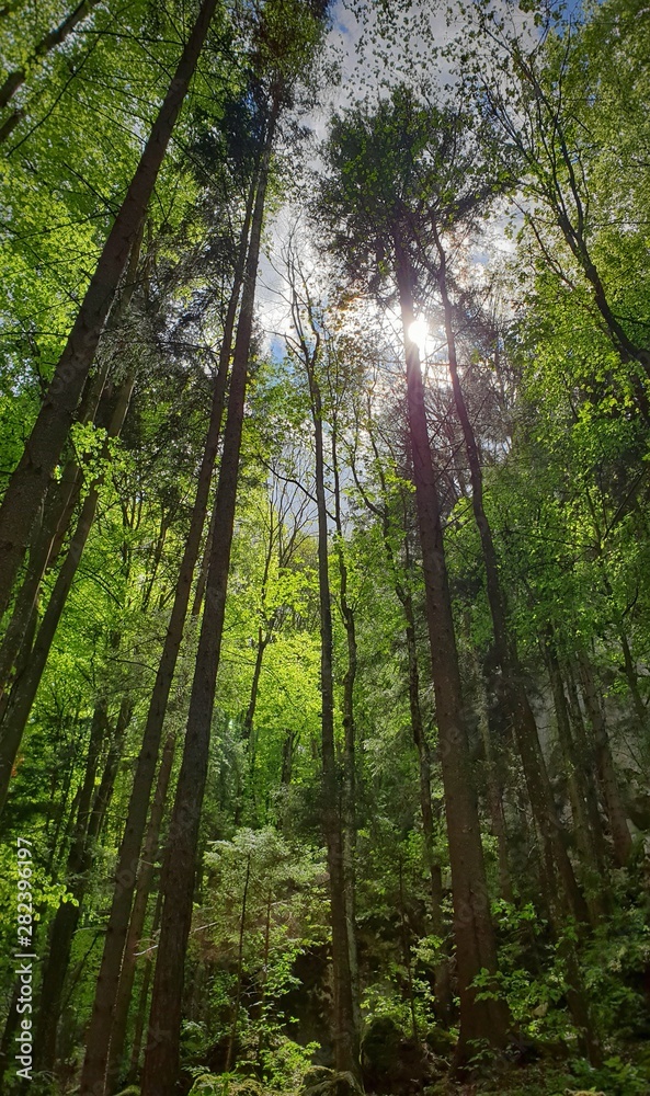 Naklejka premium Myrafälle