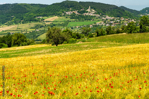 Passo del Penice: mountain landscape photo