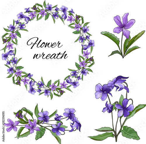 Set of violet purple flowers on a light background. Floral wreath of violets. For wallpaper, textile design. Viola mirabilis. Viola odorata