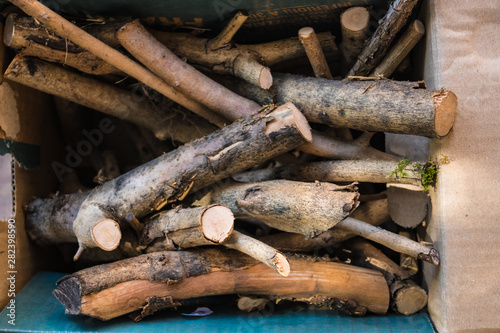 Pile of dry branches in the cupboard box, firewood material - Image