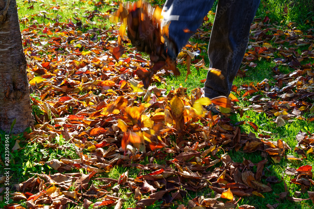 A person is kicking autumn leaves towards the camera, there is movement showing A person is kicking autumn leaves towards the camera, there is movement showing