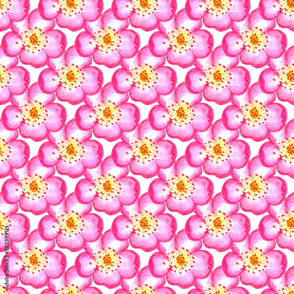 pattern pink rose hips. Roses seamless pattern. Watercolor. pattern pink rose hips. Roses seamless pattern. Watercolor.