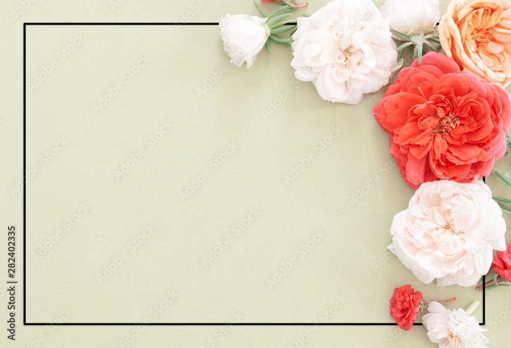 Frame from flower in pastel colors Frame from flower in pastel colors