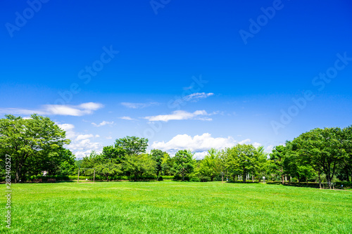 青空と緑の公園 © oben901