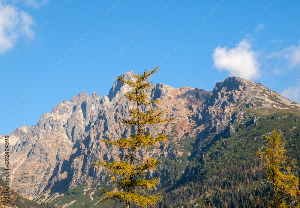 Obraz premium Great Cold Valley in Vysoke Tatry (High Tatras), Slovakia. The Great Cold Valley is 7 km long valley, very attractive for tourists