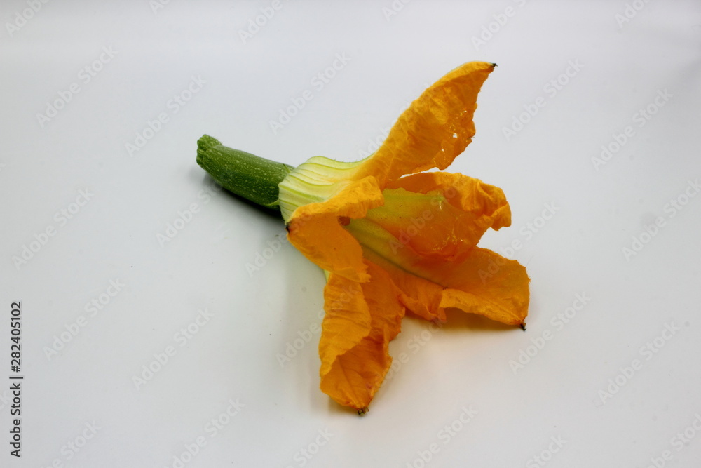 Fototapeta premium yellow flower isolated on white background