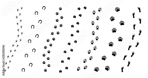 Vector flat black set collection of animals foot print path isolated on white background