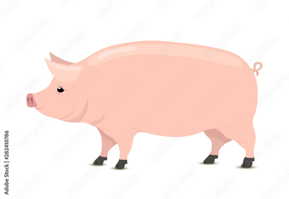 Vector cartoon pig, animal for butchery, meat shop Vector cartoon pig, animal for butchery, meat shop